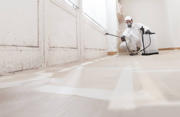 24/7 Emergency Crawl Space Mold Removal experts in Yorktown, VA